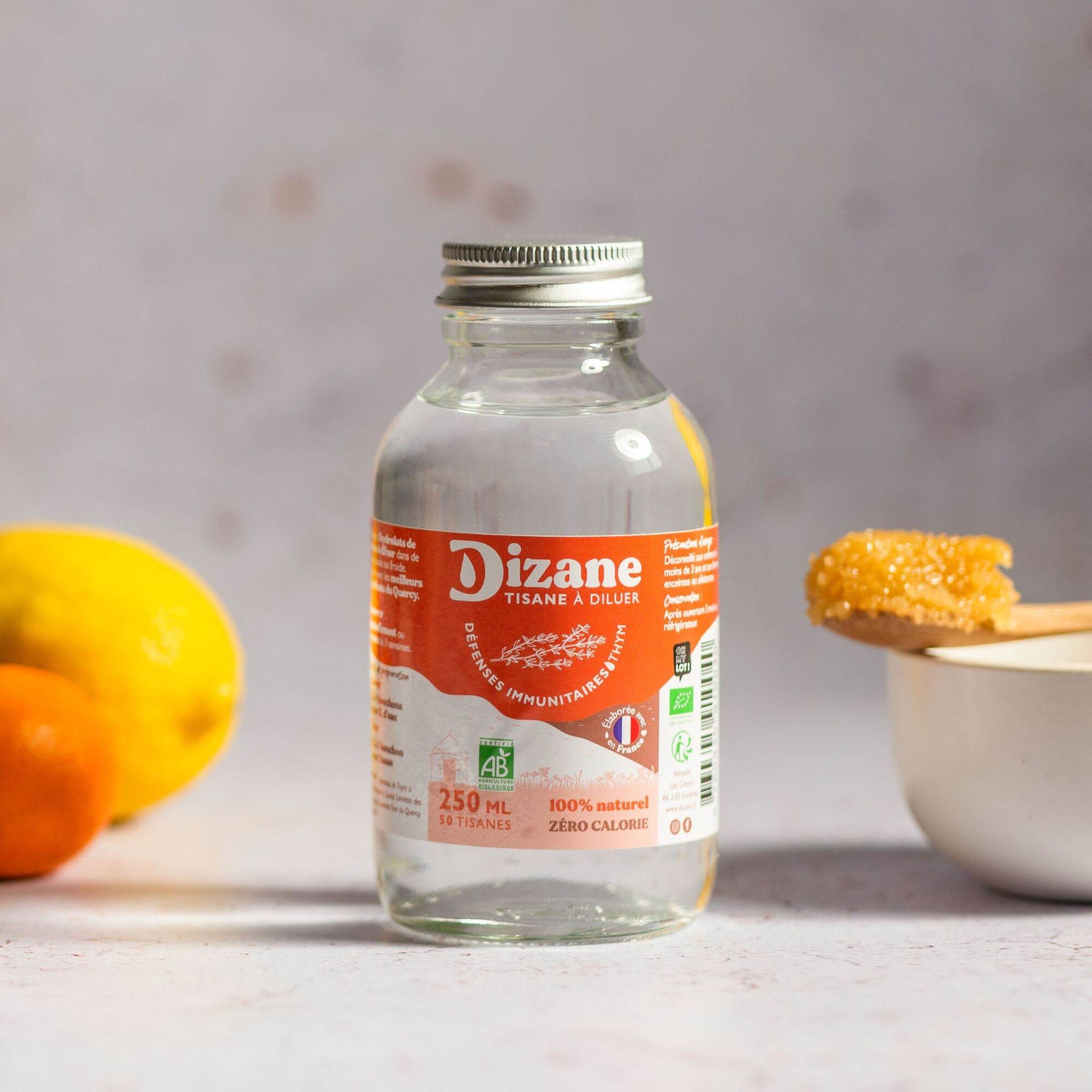 Dizane Défenses Immunitaires – Natural Immune Support