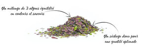 SPICES OF THE SEA 3 seaweeds mix