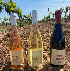 Clos des Salines Rosé 2021