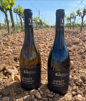 Esprit de Famille Vin Rouge 2020