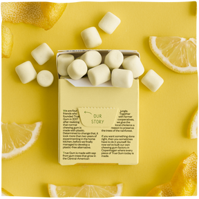 Lemon Gum Box - 24 packs
