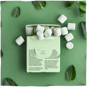 Mint Gum Box - 24 packs