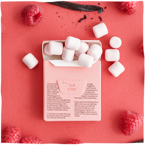 Raspberry & Vanilla Gum Box - 24 packs