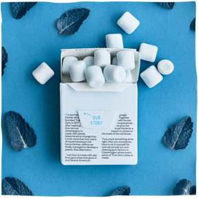 Strong Mint Gum Box - 24 packs